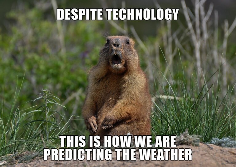 Groundhog Day every Feb 2nd